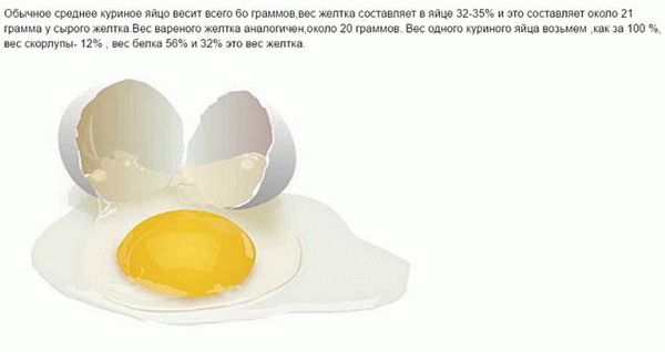 Влияние веса яиц на их использование в пищевой и кулинарной сфере